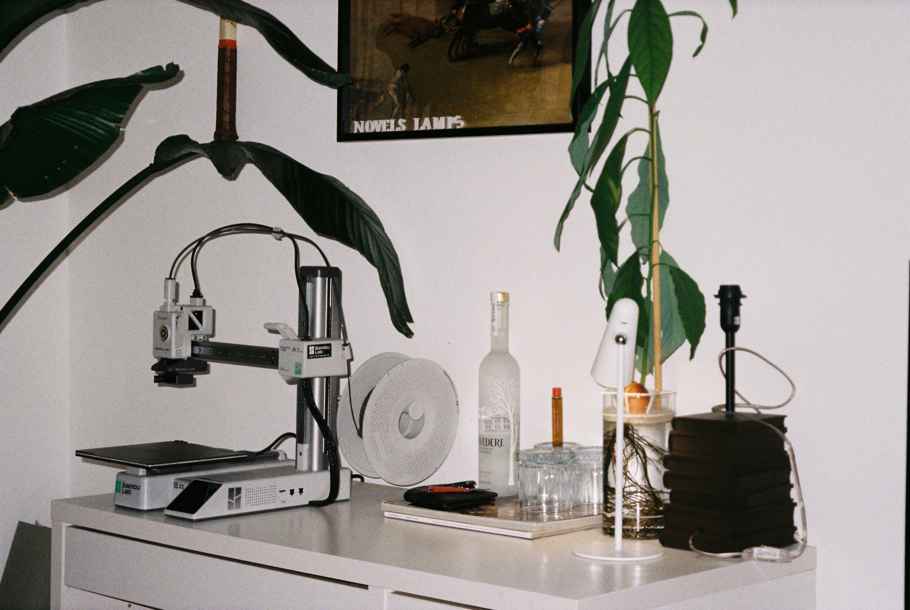 Evolution Lamp